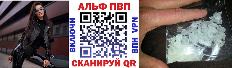 блэк спрут как войти  Полтавская  A PVP СК 