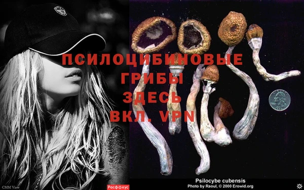 кокаин Куйбышев