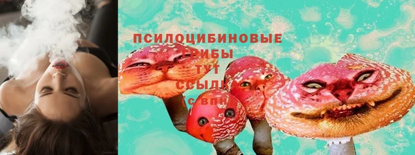 ГАЛЛЮЦИНОГЕННЫЕ ГРИБЫ Кулебаки