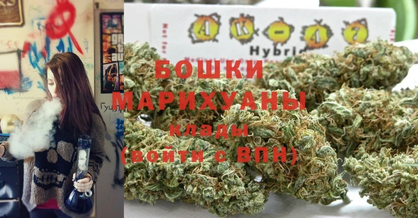 ГАЛЛЮЦИНОГЕННЫЕ ГРИБЫ Кулебаки