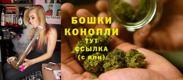 ГАЛЛЮЦИНОГЕННЫЕ ГРИБЫ Кулебаки