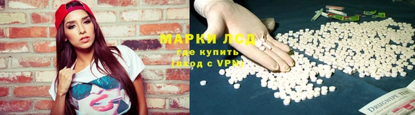 ГАЛЛЮЦИНОГЕННЫЕ ГРИБЫ Кулебаки