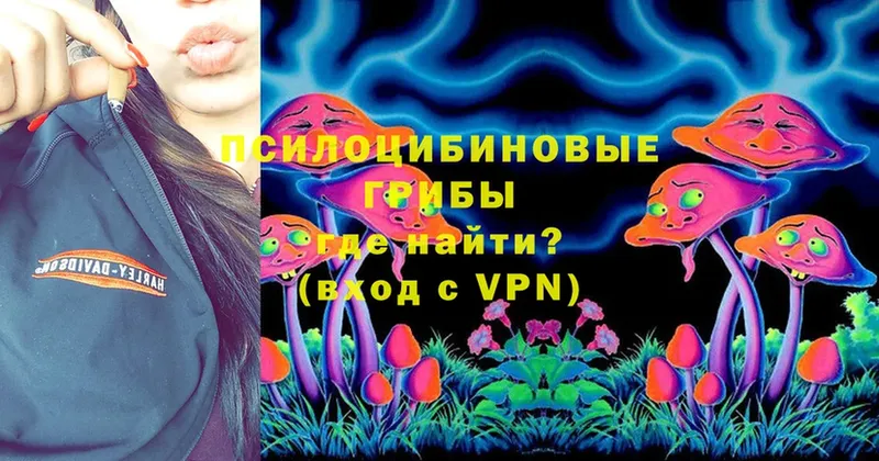 Галлюциногенные грибы Psilocybine cubensis  hydra как зайти  Полтавская 