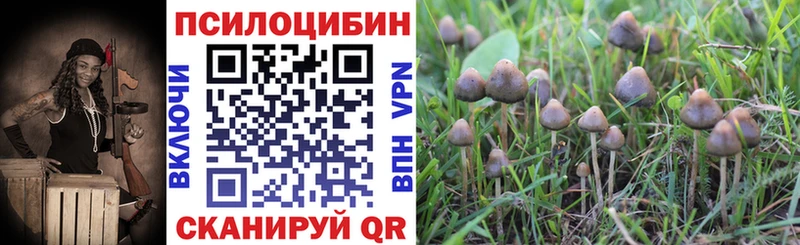 Псилоцибиновые грибы Cubensis  мега tor  Полтавская  дарнет шоп 